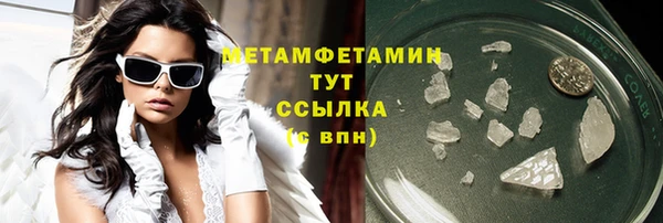 трава Няндома