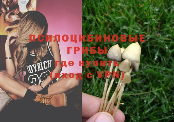 трава Няндома