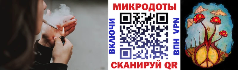 Галлюциногенные грибы прущие грибы  Шимановск 